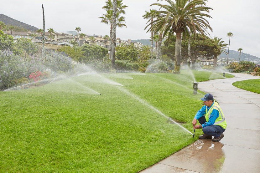 landscaping and irrigation